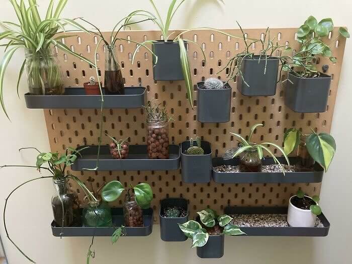 Usate Una Pegboard Per Creare Un Giardino Verticale/Stazione Di Propagazione