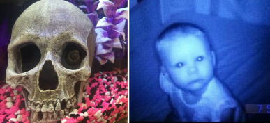 30+ Times Innocent Photos Ended Up Nearly Scaring People To Death