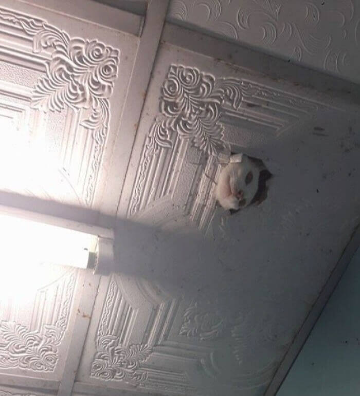 "Hello, What Are You Doing Down There?"