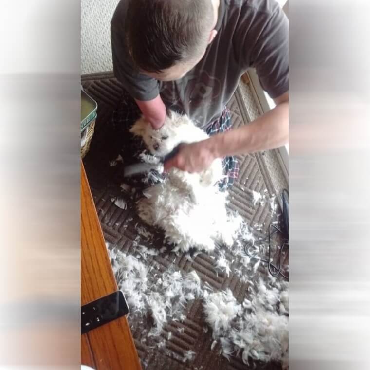 What Are You Doing To That Dog?!