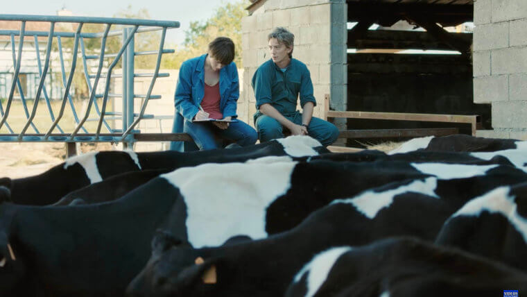 The Perfect Storage Space