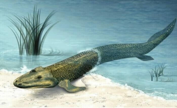 Still Time to Turn Back