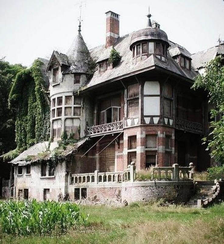 Miss Peregrine: Brasschaat, Belgium