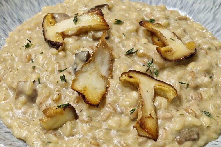 Porcini Mushroom Risotto