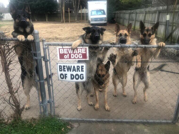 No Visible Security Signs