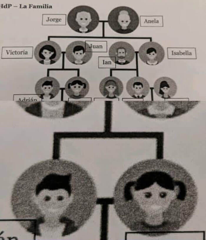The Family Tree