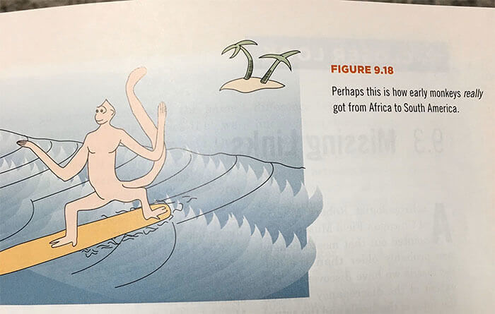 Surfs Up