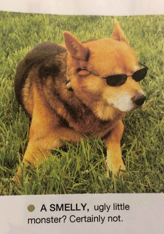 Monster Dog
