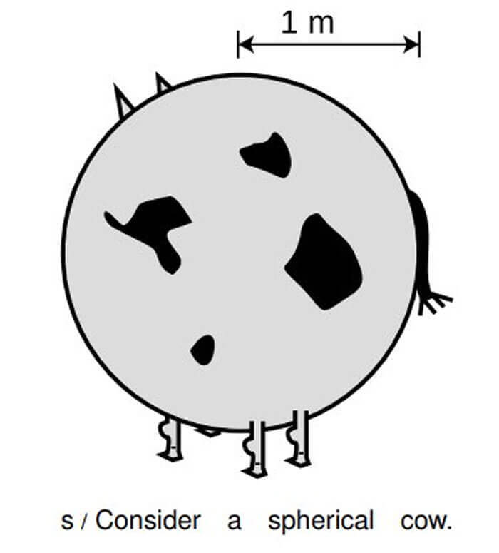 Meet The Spherical Cow