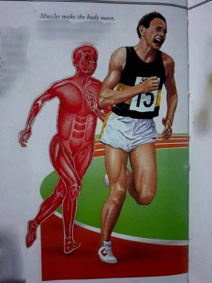 The Muscle Man