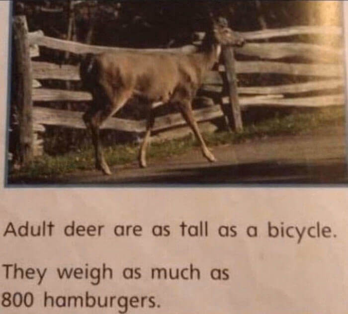 Putting It Into Perspective