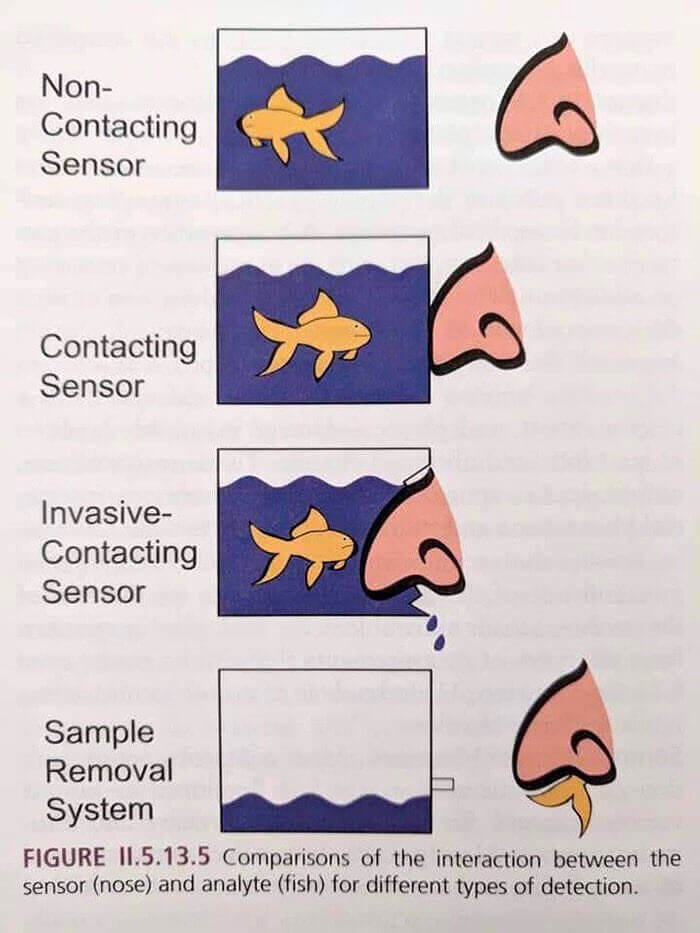 Sensory Contact