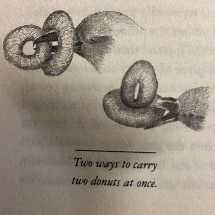 How To Carry A Donut