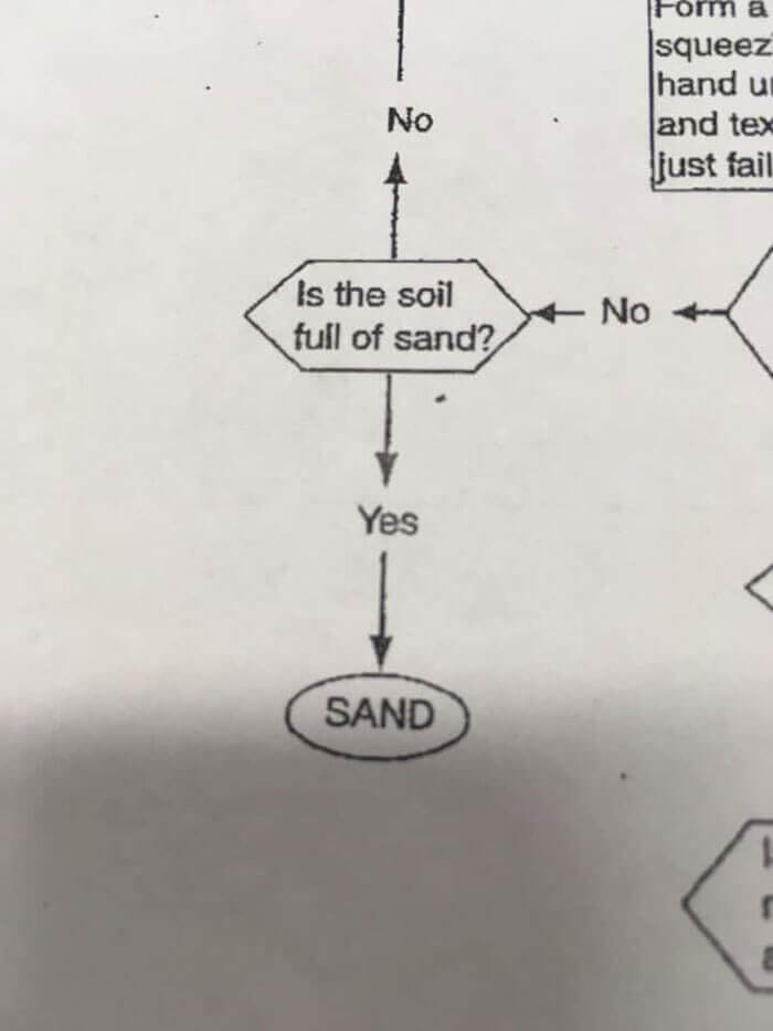 Where Does The No Lead?