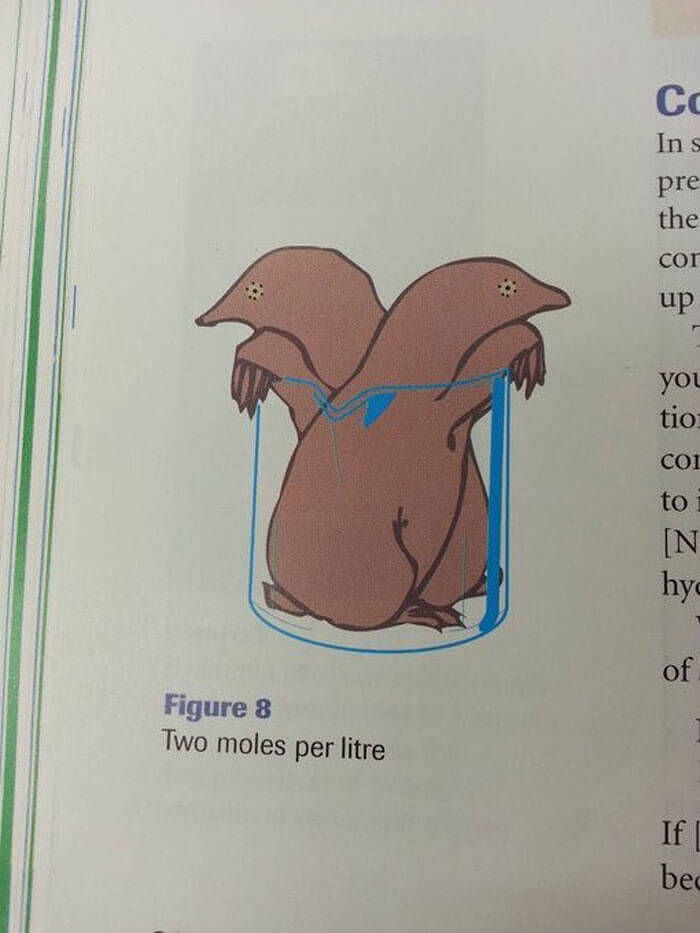 The Metric System