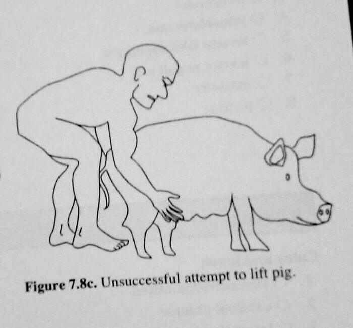 How To Lift A Pig
