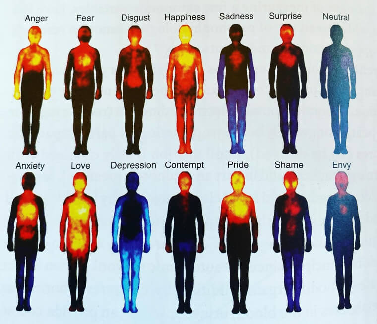 What Human Emotions Look Like in Our Bodies