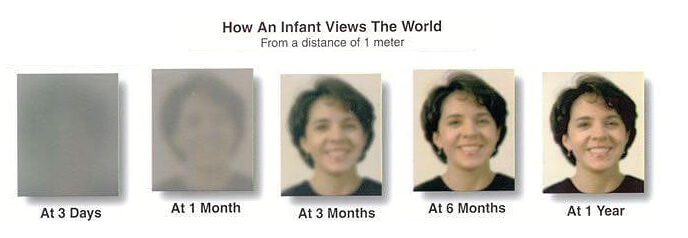 The Development of a Baby's Vision
