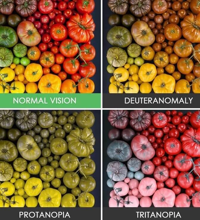 Curious What It's Like to Have Colorblindness?