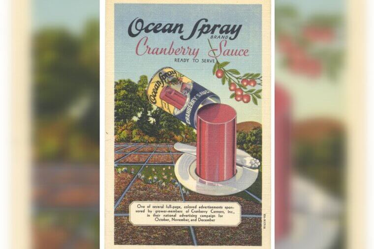Ocean Spray Cranberry Sauce