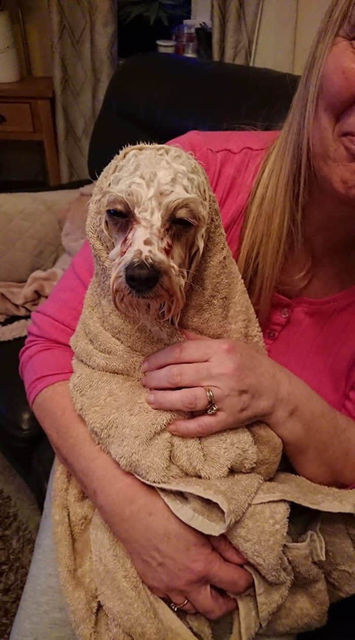 "There Will Be Consequences, Karen"