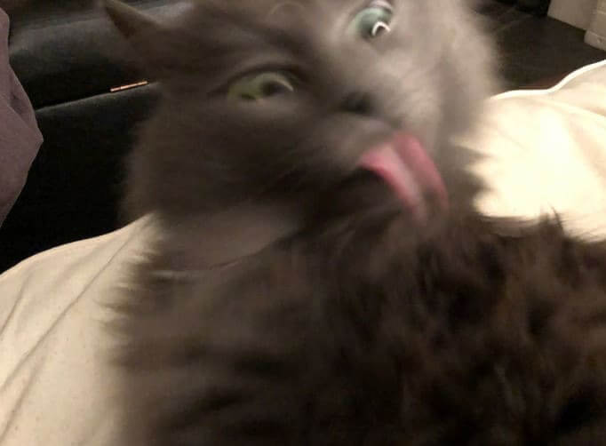 "Why You Take Bath When I Can Clean You?"