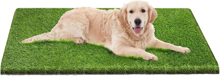 Artificial Grass Mat - Perfect for Pets and Play! - Enjoy 20% Off!