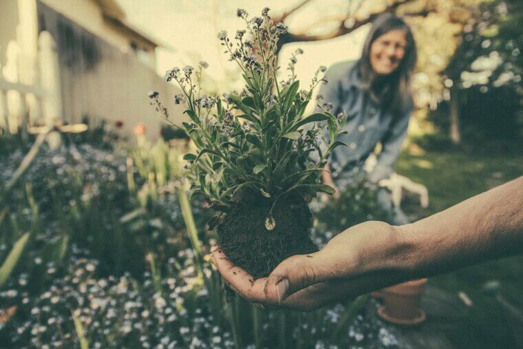 Enhance Curb Appeal with DIY Gardening Projects