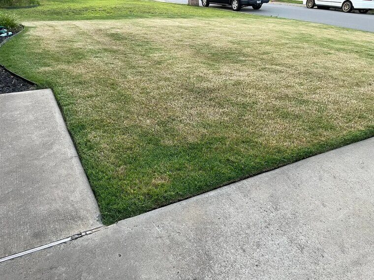 Mowing Too Short