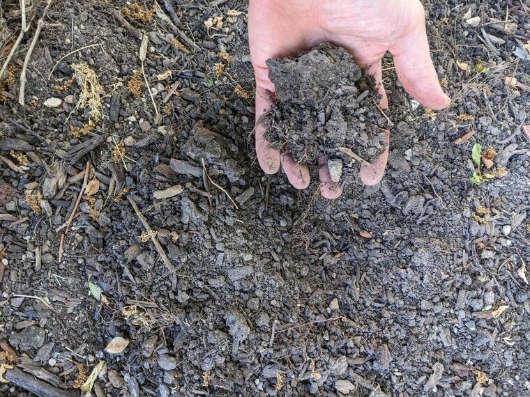 Neglecting Soil Health