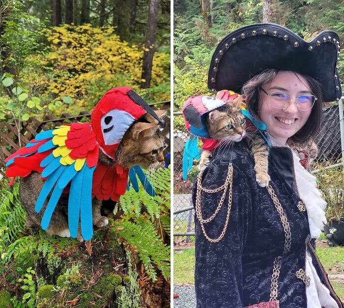 What a Pretty Pawrrot