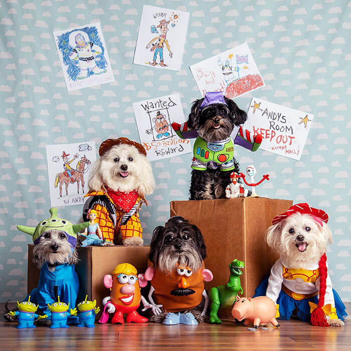 To Infinity and Beyond