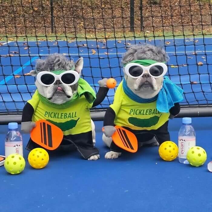 Pickleball Masters