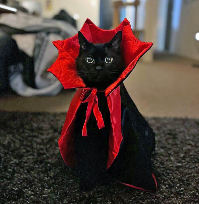 A Lovely Little Vampire