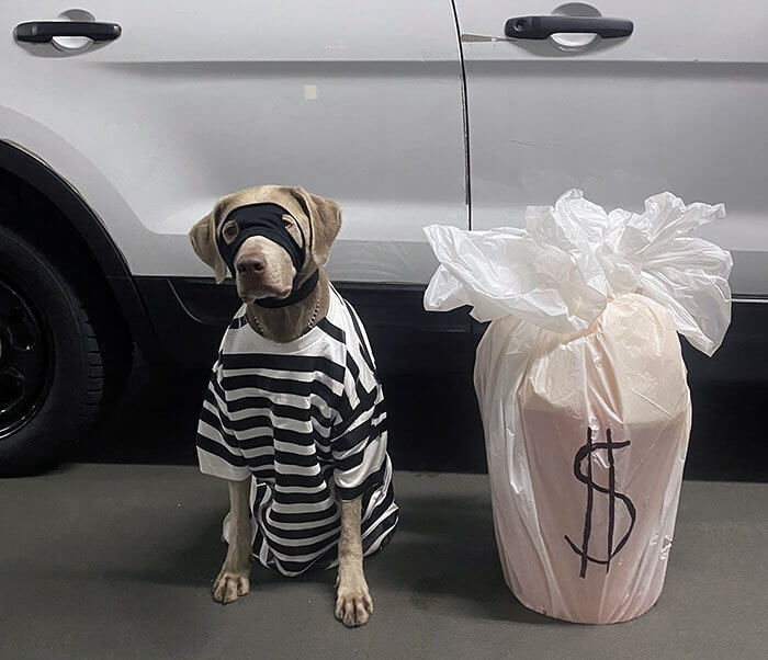 The Master Becomes the Student