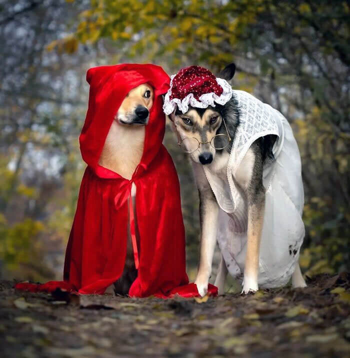 What Big Ears You Have