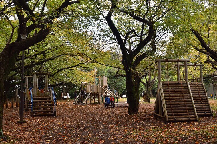 Obstacle Course Races