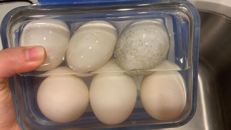 ​Duck Eggs