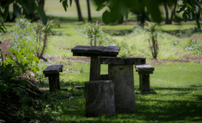 Planning Outdoor Spaces That Foster Calm and Relaxation