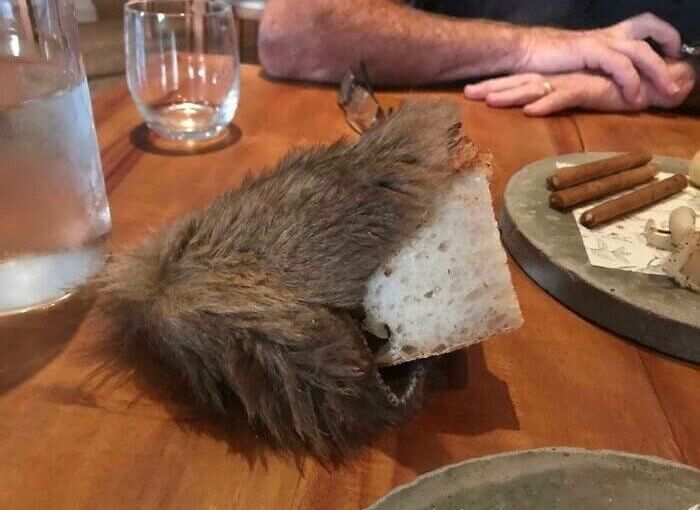 That's Just Feral