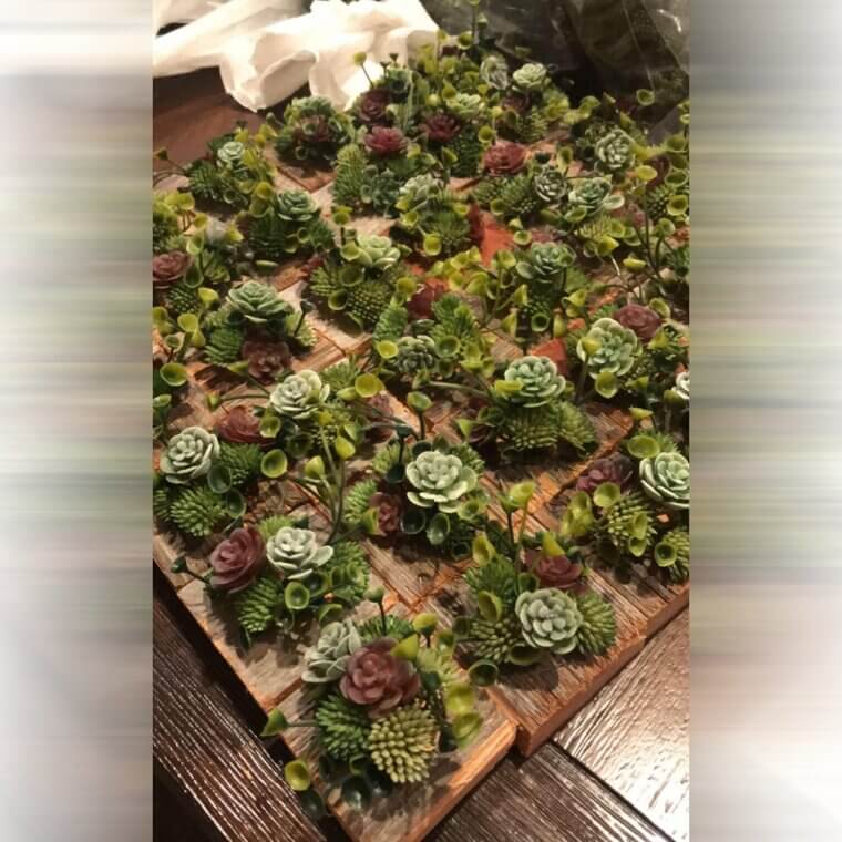 Colourful Faux Succulent Displays