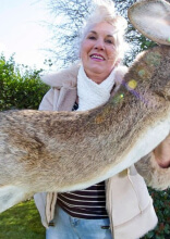 Animals We Had No Idea Were Actually Shockingly Massive