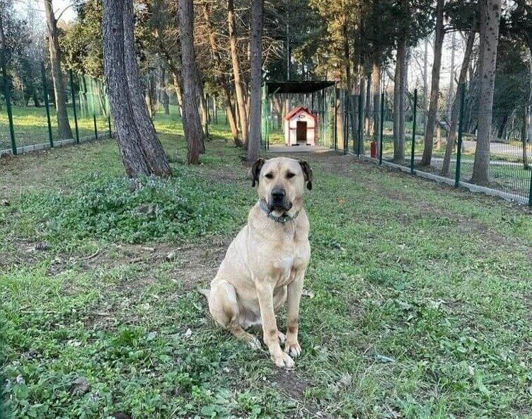 Um violador de regras