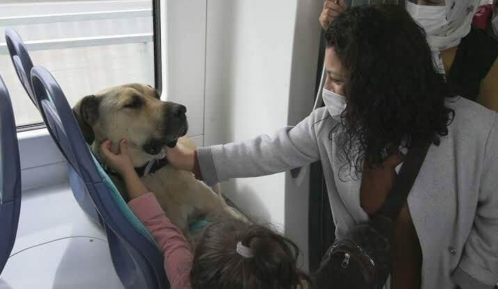 Uma celebridade da mídia social