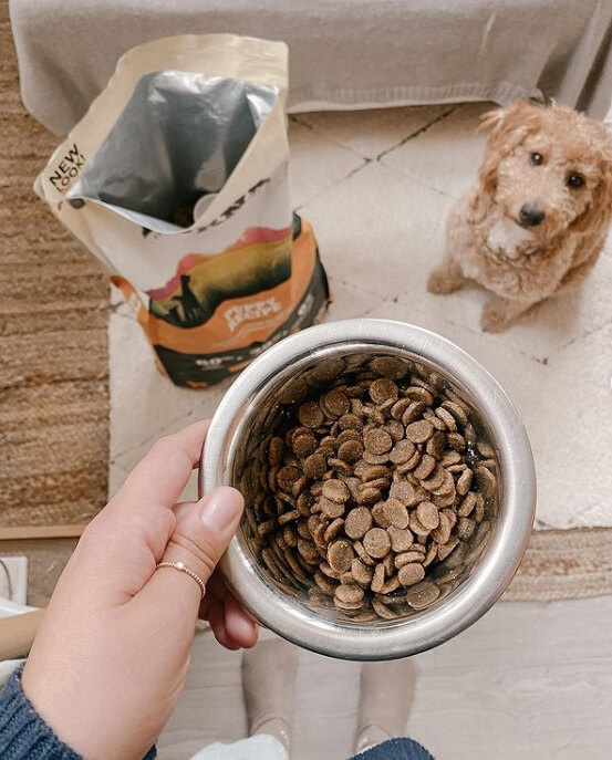 Dog Food Tasters Do Surprisingly Well