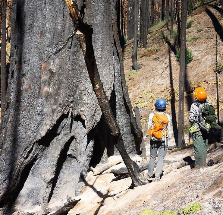 Forest Fire Inspectors Are Hot Right Now