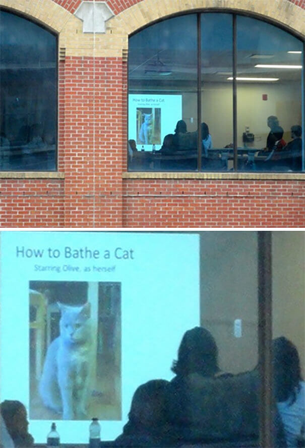 A Very Important Instructional Meeting