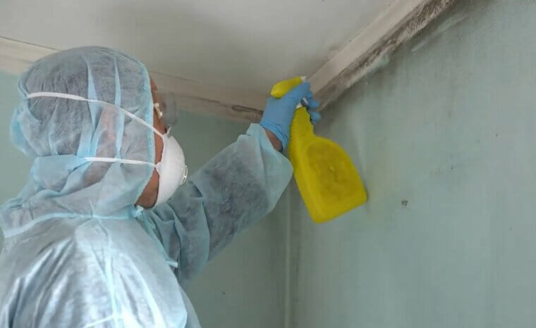 Mold and Mildew Spray