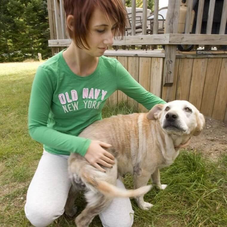 Reinforcements to the Rescue