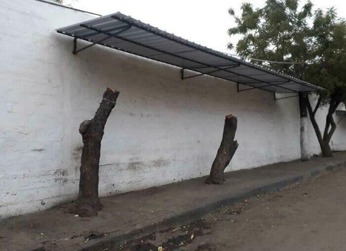 Just How Nature Intended